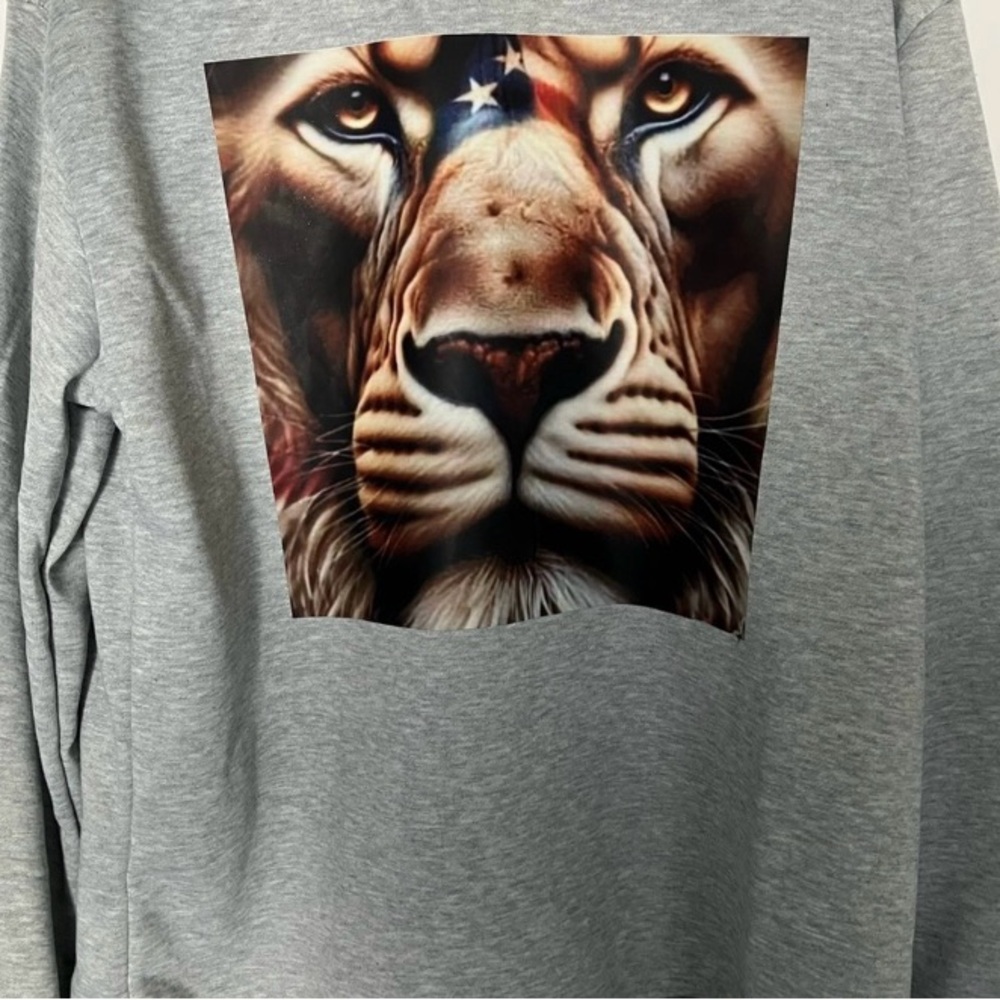 Gray Sweatshirt Graphic on back